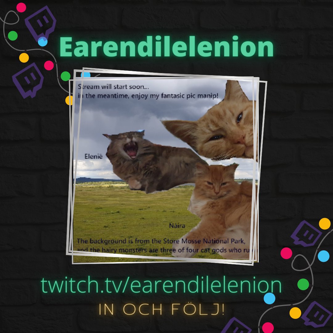 swordfish_101's tweet photo. I #lucka13 hittar vi en av mina favoritstreamers Ea! In och följ Ea pÄ Twitch för chill, mysiga och kattfyllda streams <3 https://t.co/f3MGMP1e8Y
#julkalender #adventskalender #swordfish101 #jul #twitch #twitchsverige #streamer #streaming #supportsmalstreamers https://t.co/6cNORafILZ