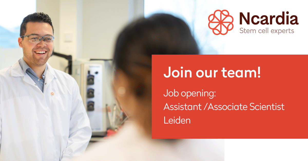NcardiaStemCell's tweet photo. Our team is expanding! Are you committed to science and looking to make a decisive contribution in an innovative company?  

Ncardia is looking for assistant / associate scientists 
👁️Have a look at our vacancies 

https://t.co/9weFfkW0S9

#joboffer #ipsc #innovation https://t.co/Nu8aBQIOol