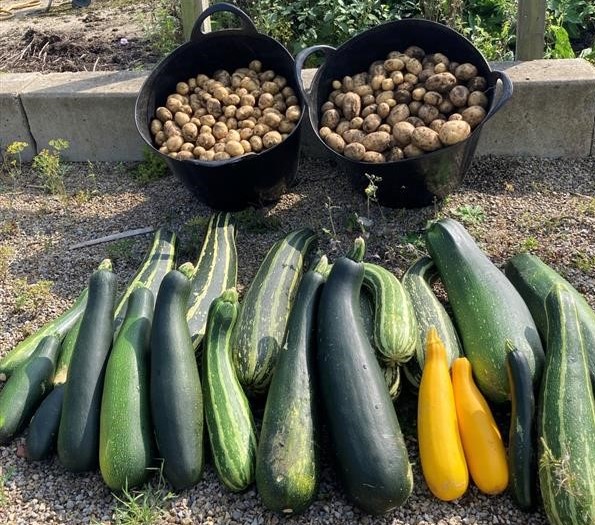 Offenders in West Yorkshire are making a positive contribution to their community. 

An unpaid work team have turned bare and derelict land into a thriving allotment with produce being donated to homeless shelters and local foodbanks🥔🥒