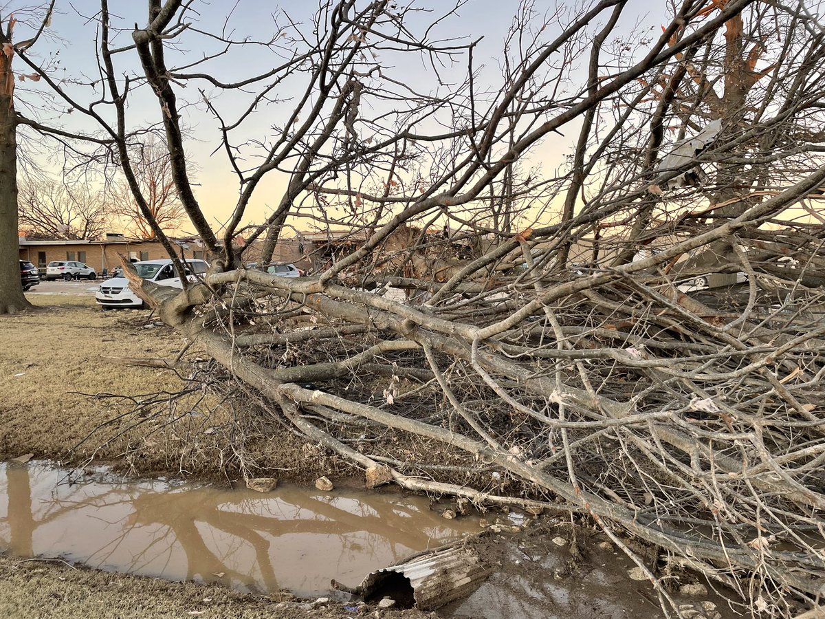 CarolynCerdaTV's tweet photo. #Monette as the sun rises Monday morning. Power outages are still reported and recovery is just underway after the #QuadState #tornado Friday.
@FOX13Memphis #arkansas https://t.co/lYUdbb3QGk