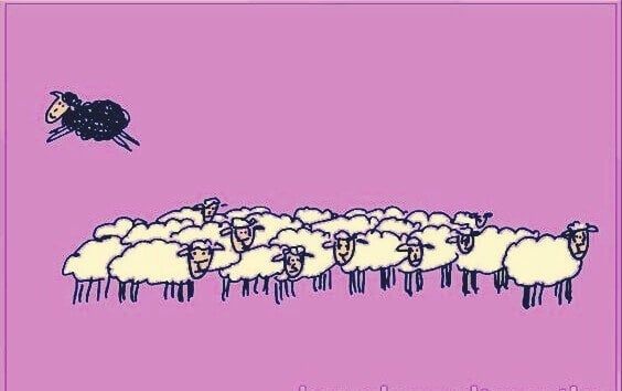 LaPecoraNera8's tweet photo. Altrove.
#unPostoPer provare ad essere qualcun altro. https://t.co/PFnMt1xePZ