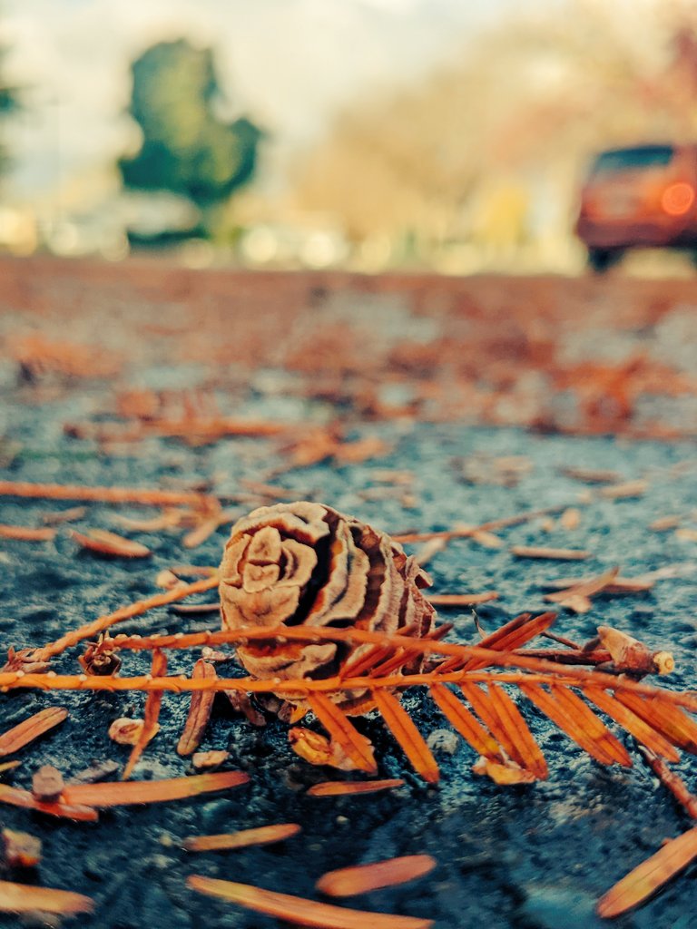 Image_G's tweet image. All about the small beautiful things