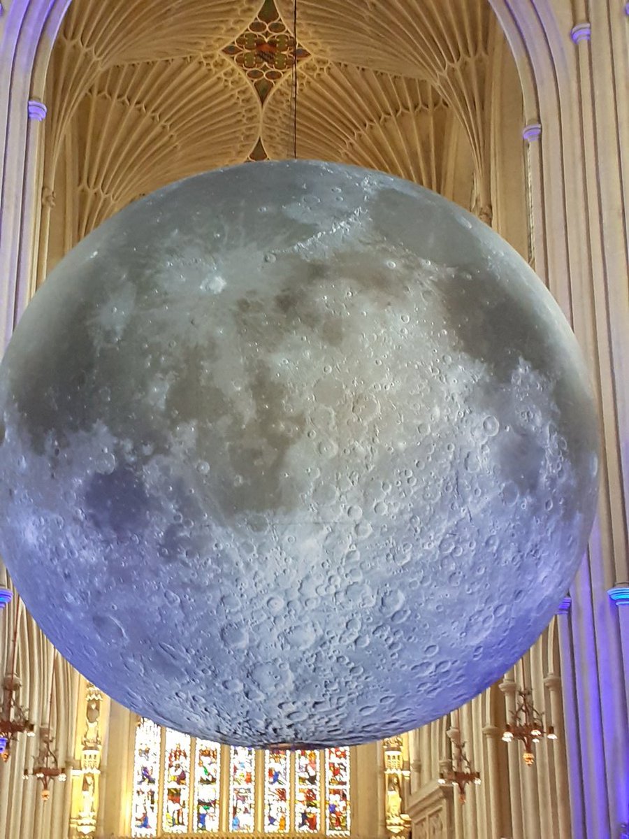 Kath Wilson tweet media