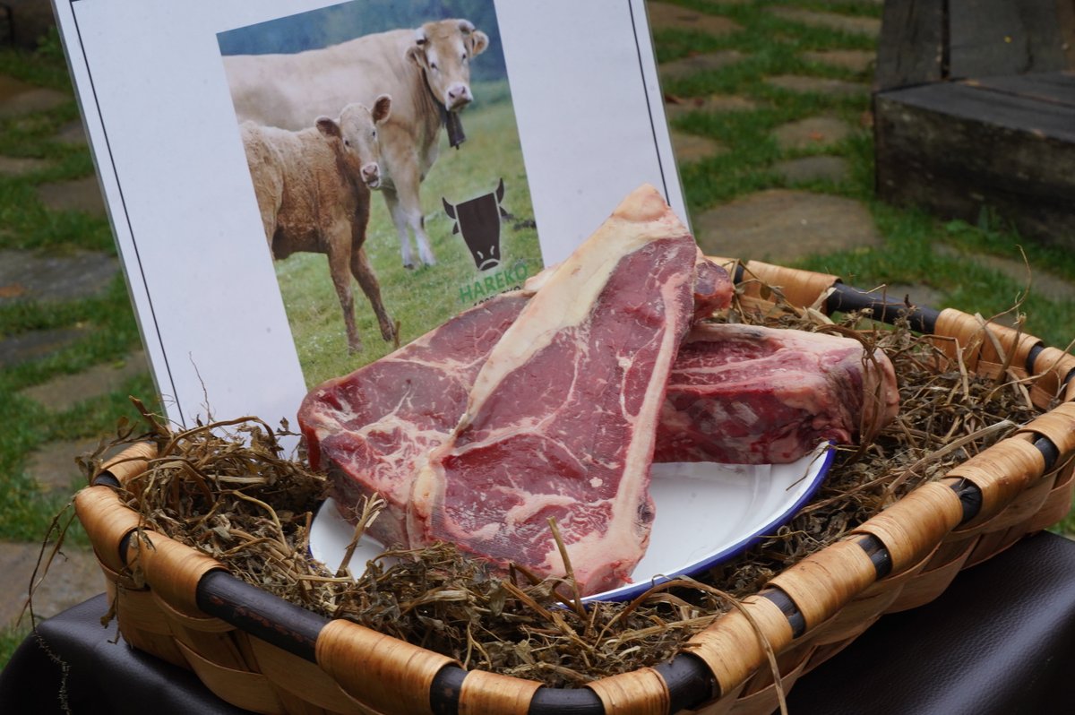 Bittor Oroz Izagirre tweet media