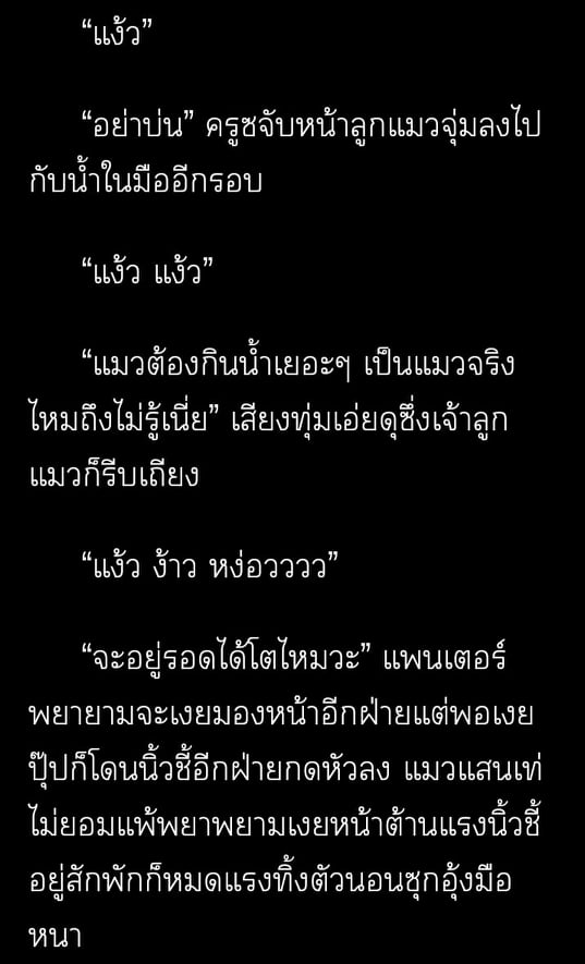 รีวิวนิยายวายจ่ะพส. tweet media