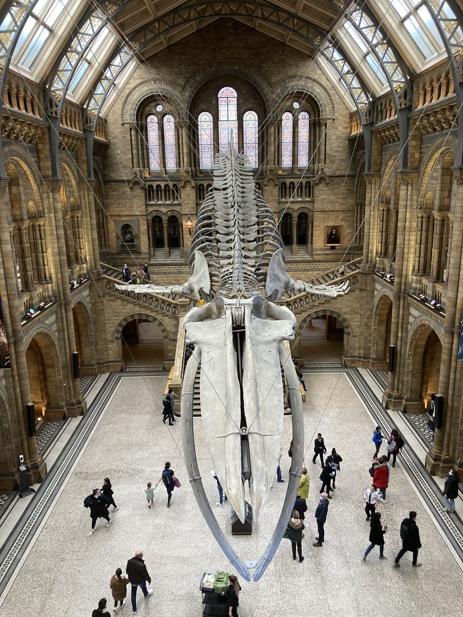 StmYear7's tweet photo. Year 7 have loved the trip so far, they currently exploring the museum completing a treasure hunt. https://t.co/um6F3DX18l