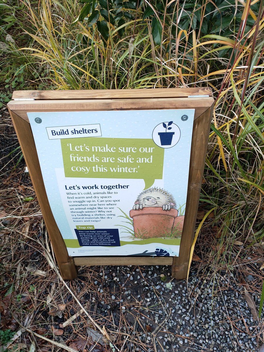 theberrytheatre's tweet photo. Last week, James from our marketing team visited Greenway @NTRiviera in Devon and bumped into some of @slotmachineahoy's #OneSnowyNight cast on their holidays too - the hedgehogs even had their very own cosy hostel! https://t.co/2fU0KTEIPJ