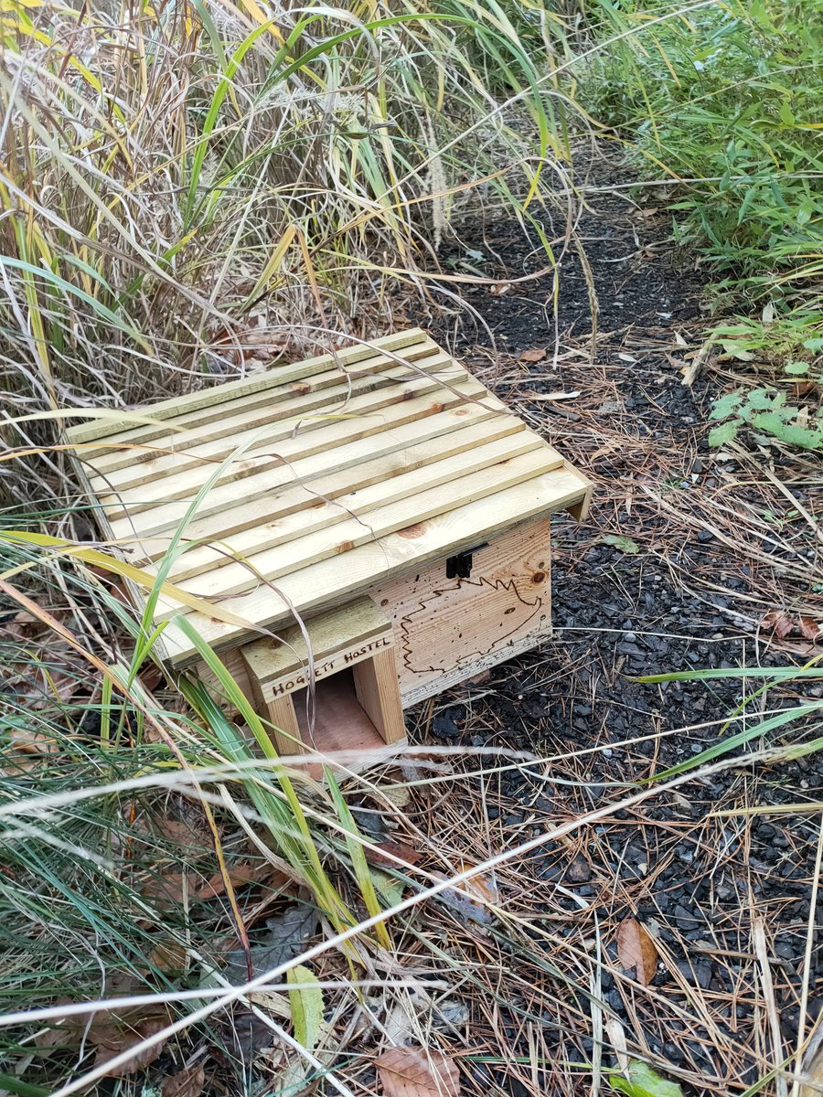theberrytheatre's tweet photo. Last week, James from our marketing team visited Greenway @NTRiviera in Devon and bumped into some of @slotmachineahoy's #OneSnowyNight cast on their holidays too - the hedgehogs even had their very own cosy hostel! https://t.co/2fU0KTEIPJ