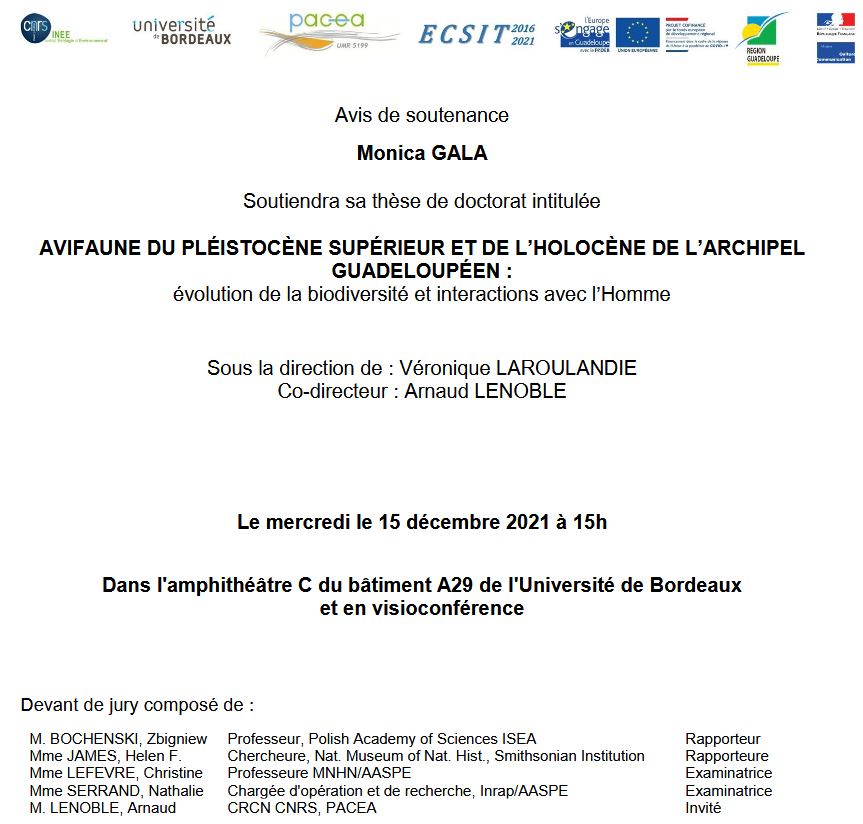 PACEA tweet media