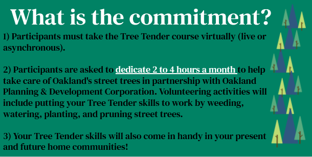 SustainablePitt's tweet photo. Once you're a bonified #Pitt @TreePgh #TreeTender, what's the commitment to @OaklandPlanning? π³π²πππ(2/2) https://t.co/lBCd8eK9Rq