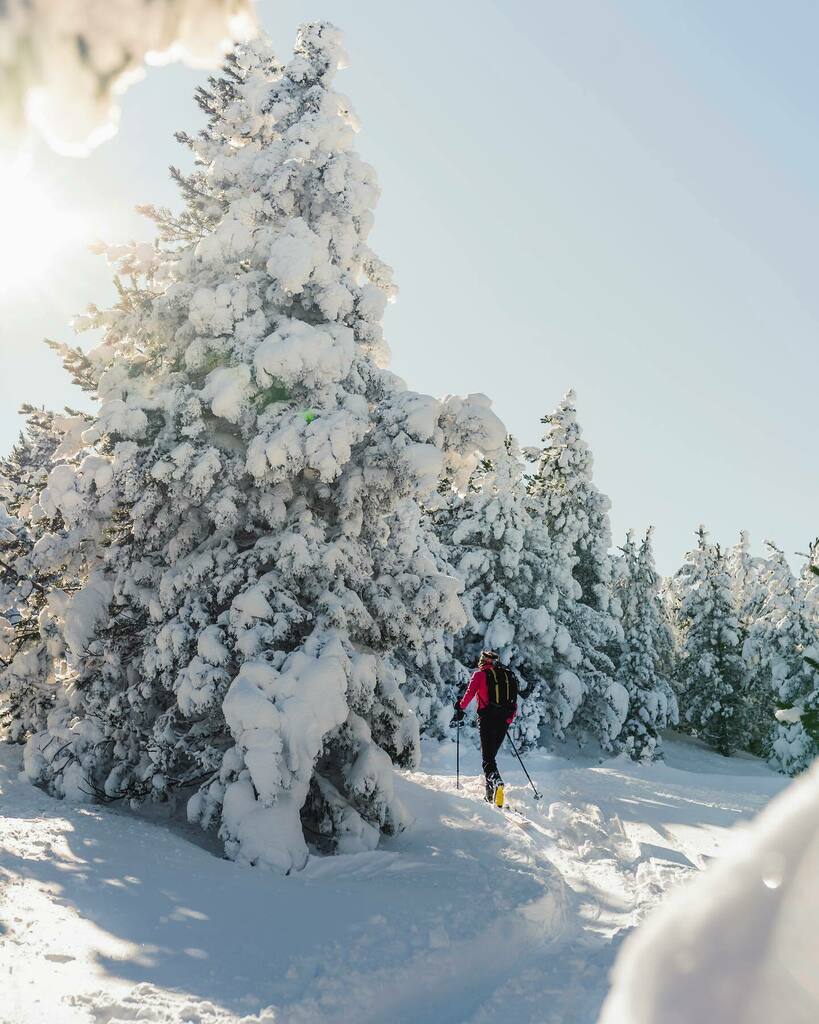 Comencem a caminar per l’hivern
.
.
.
.
.
#Territoriindi #neverstopexploring #outdoor #stealingmoments #winter #pyrenees #nature #mountains #pirineus #parcnaturalaltpirineu instagr.am/p/CXbI194NMrW/