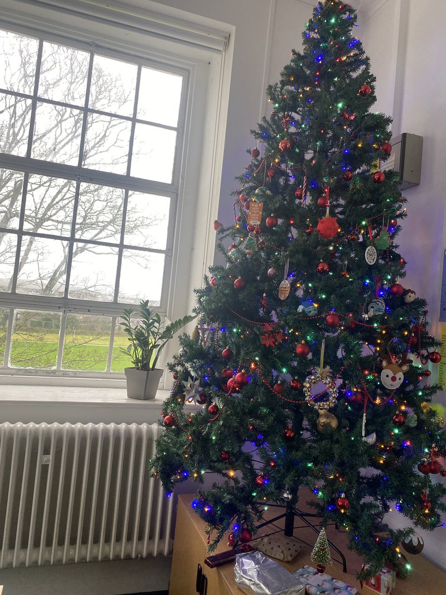 <a href="/PlymouthMillbay/">Millbay Plymouth</a> <a href="/Le_Vignoble/">Le Vignoble Plymouth</a> My classroom tree at Devonport High - with Millbay in the distance through the window! #BestPlymXmasTree