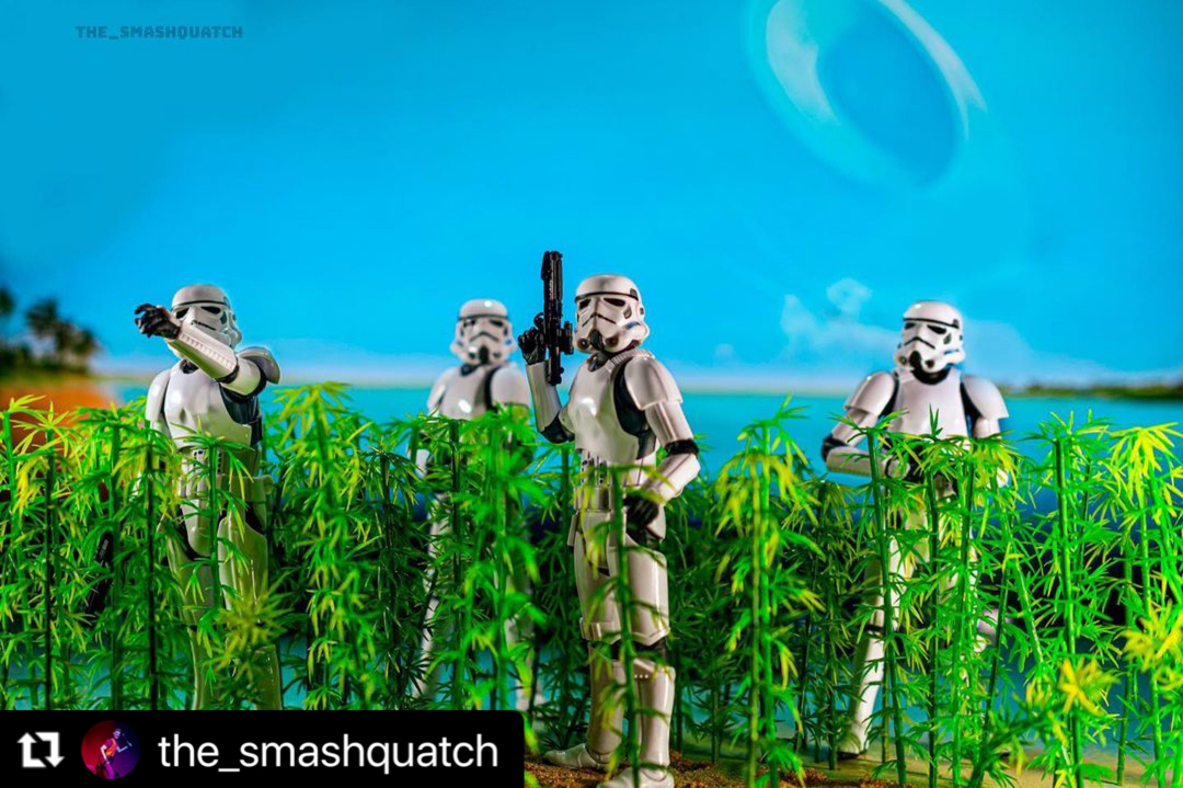 toyshutterbugs's tweet photo. It’s Troopstormer Tuesday! #ts_troopstormertuesdays⁠
Time to feature everyone’s favourite accuracy-challenged armour-clad men-in-white, the Imperial Stormtroopers! 😁  
📷
Check out this cool shot by @the_smashquatch.  Go check out their feed and give them some love.⁠ https://t.co/jmLWJL49FI