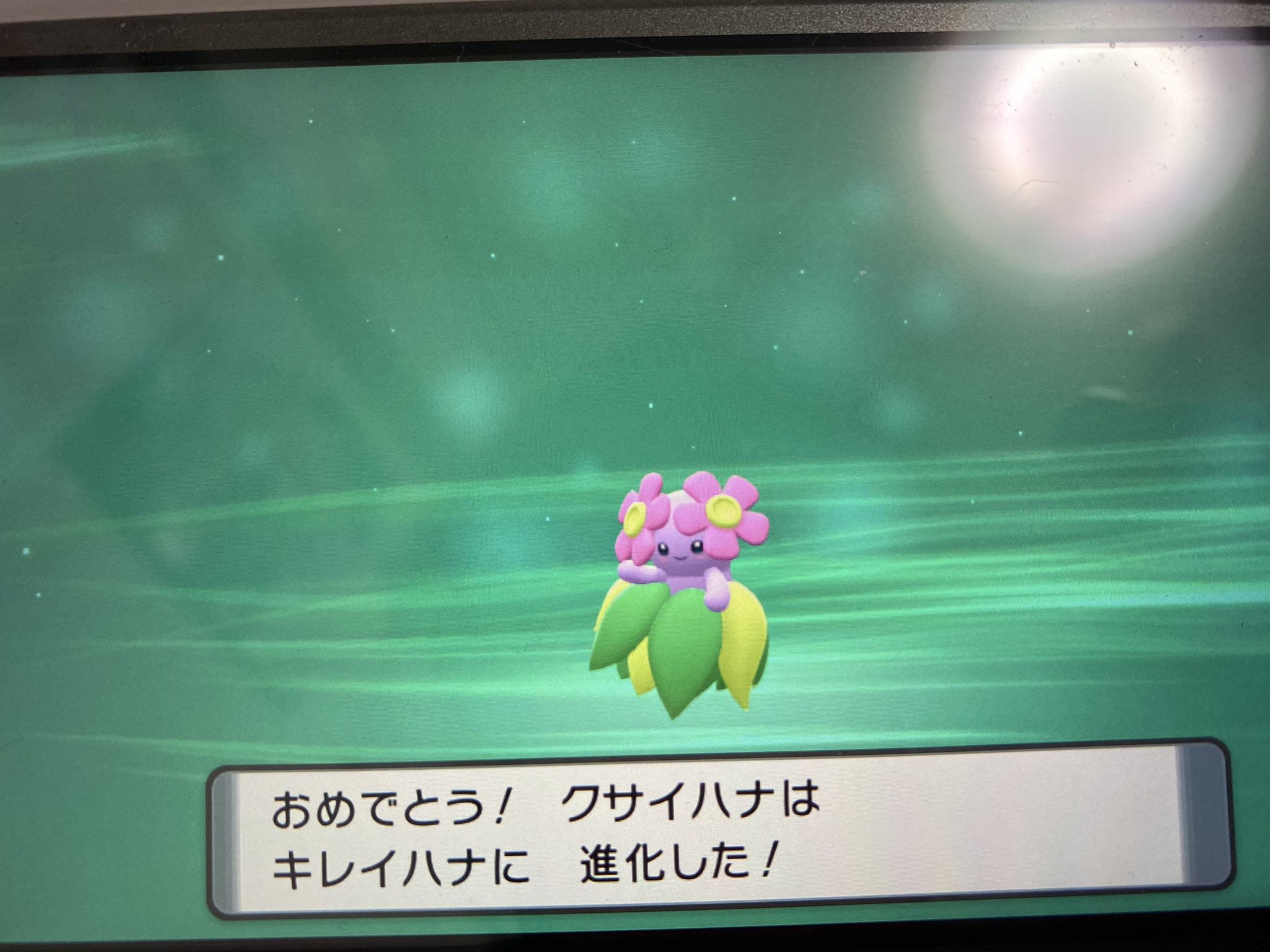 じゅんこと クサイハナ色違い6体きた キレイハナの色違い可愛い ダイパ ポケモン T Co Dtqzg1sbbu Twitter