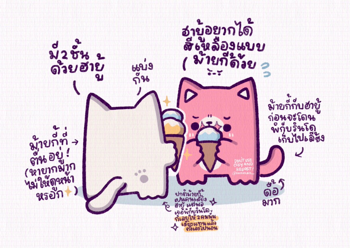 ก่อนจะโดนเก็บไปเลี้ยง 🐱🌸 