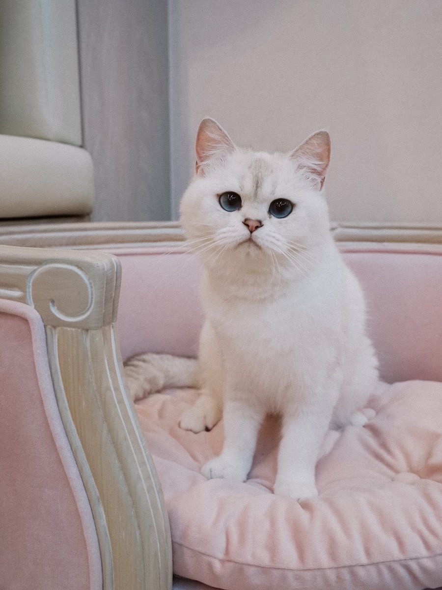 Bonusiie's tweet photo. อุ๊ https://t.co/HtOwolBChv