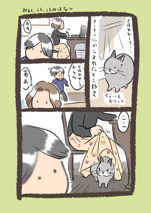 今日のrabbit…
#うさぎのいる生活 