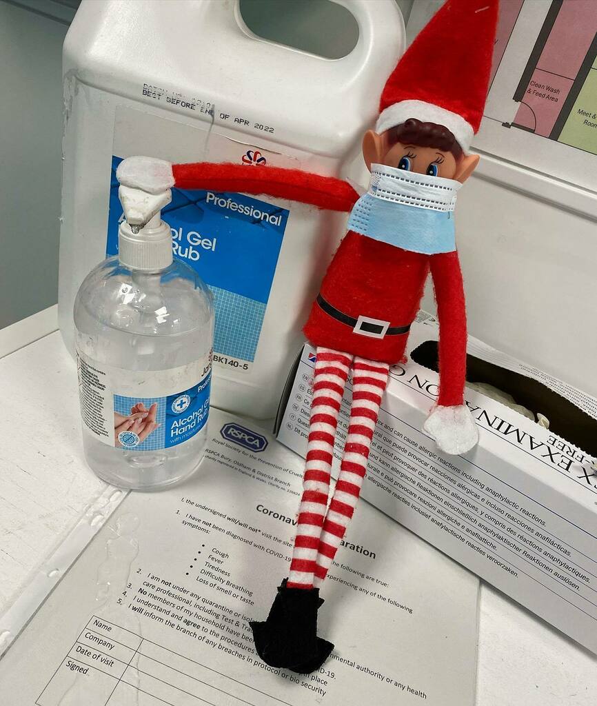 RSPCAburyandold's tweet photo. #mincetheelf is taking the branches covid protocols extremely seriously #elfontheshelf #goodelf #niceelf #naughtyelf https://t.co/ZfJ3FCq8ED