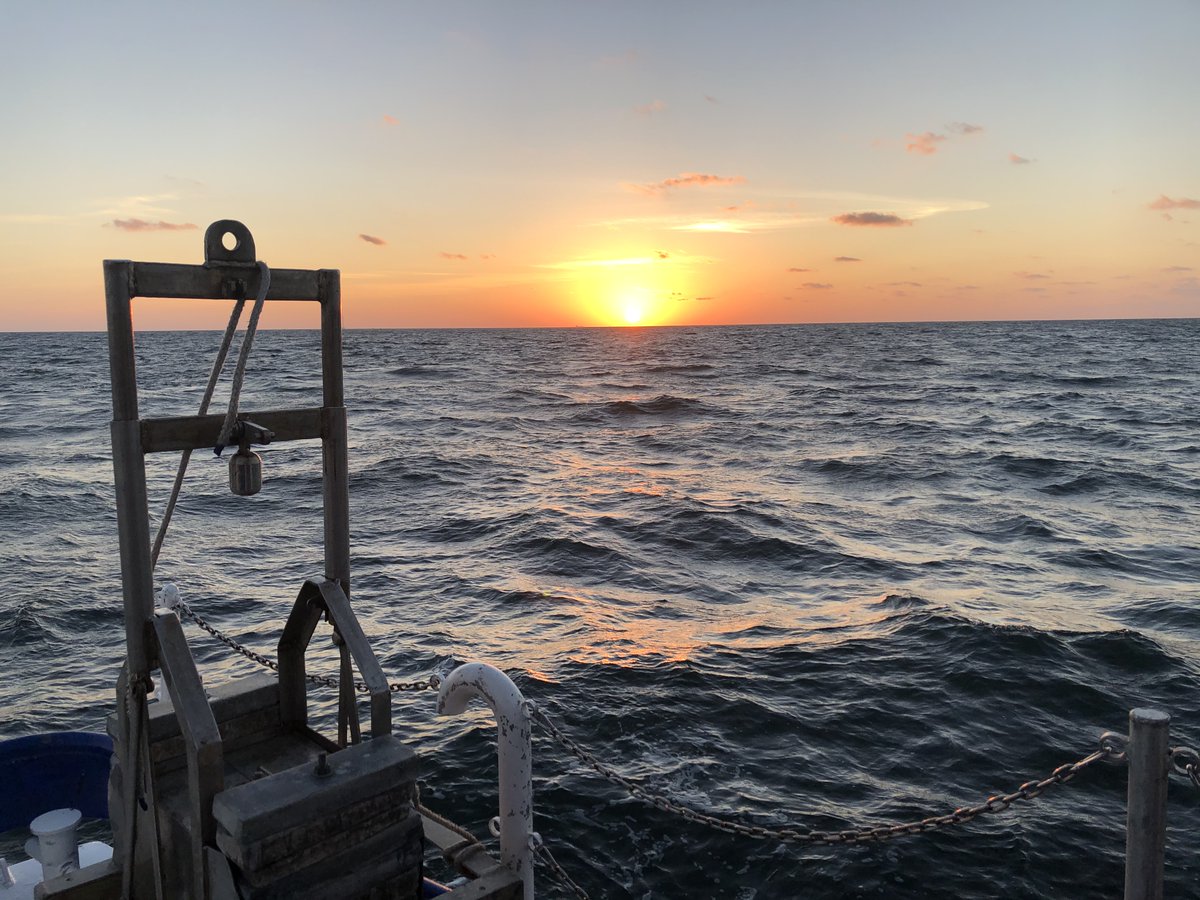 BRobertsLab's tweet photo. Looking for a research technician position in coastal ecosystem ecology and biogeochemistry?  Come join our great team in the Roberts Lab @LUMCONscience.  Position available immediately. Please RT and share. More info @ https://t.co/Kn6mxEMaQj https://t.co/HMMM5avgKU