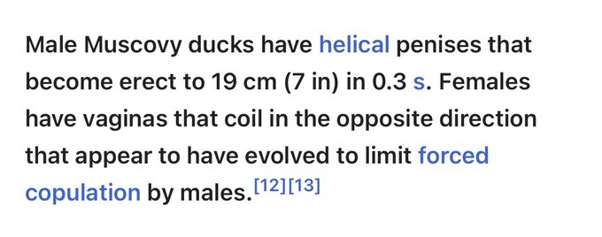 Fun fact https://t.co/z0Zt0E1jw0