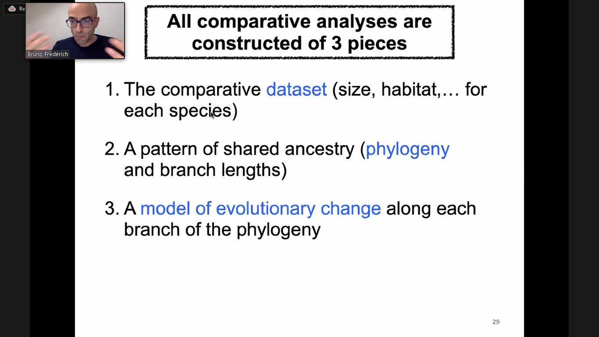 Physacourses's tweet photo. Very excited to start off the 3rd edition of the Phylogenetic Comparative Methods with Bruno Frédérich and Alex Dornburg

#rstats #genomics #bioinformatics #phylogenetics #ComparativeMethods https://t.co/StydvuNYOP