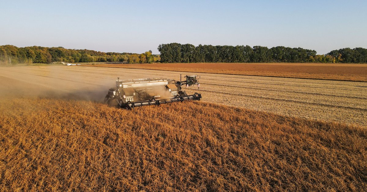 Geringhoff's tweet photo. We are proud of the success of NEXAT and are happy to equip this project with powerful attachments!

NEXAT is a newly developed wide-span interchangeable carrier vehicle that handles tillage, seeding, crop protection and harvesting with mounted modules.

https://t.co/RYLv92eyEi https://t.co/f6kqCJGXxQ