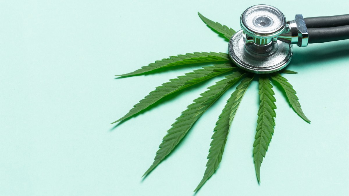 CBDLearningBase's tweet image. Indiana lawmakers are making moves in introducing proposals with regards to medical marijuana.
bit.ly/33q90ZM

#CBD #CannabisCommunity #cannabisculture #cannabisnews #cbdoil