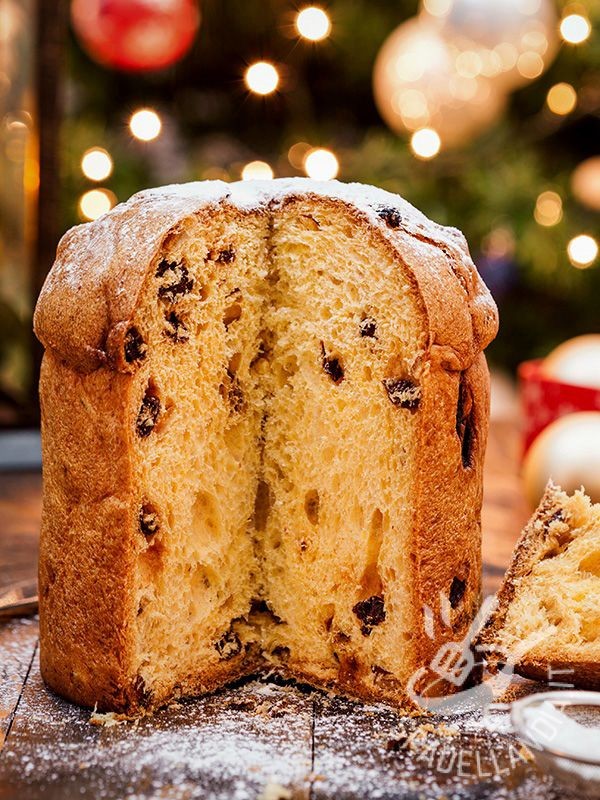 libreriaditina's tweet photo. e non si discute

PANETTONE>>>>>>>>>>>PANDORO https://t.co/NqQJnas4i0