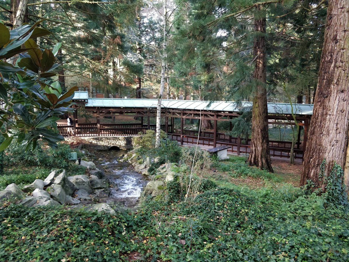 Labanqui_se's tweet image. On dit pas que notre CM était chez Mickey et que du coup il n&apos;a pas posté les jours précédents, mais on vous laisse une photo 🦦