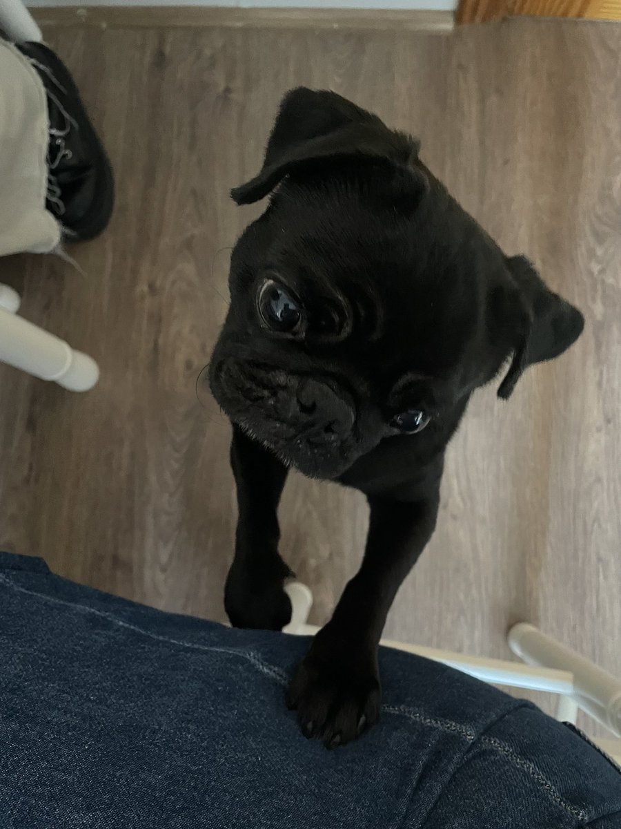 como empiezo a usar twitter, tb presento a mi bebé