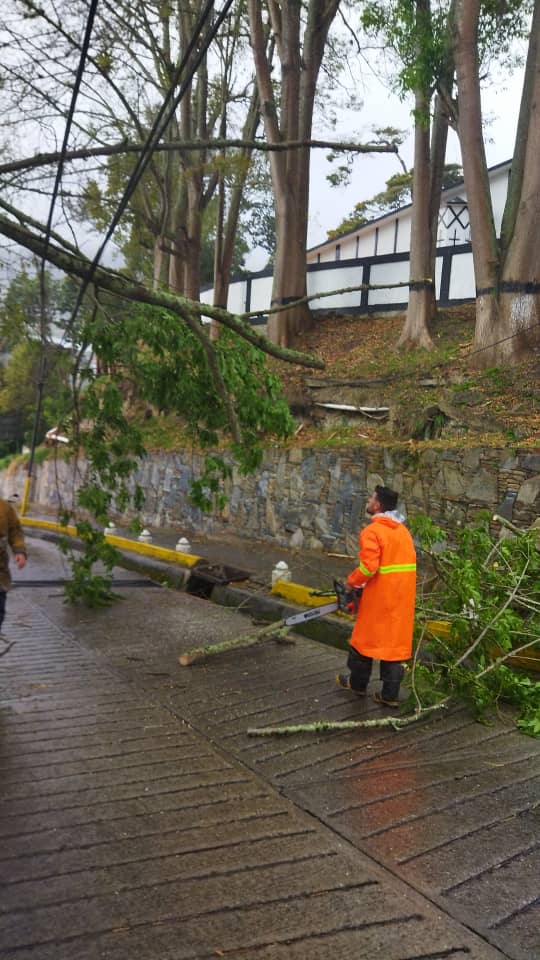 #13Dic Nuestros Equipos de la <a href="/AlcaldiaDeTovar/">Alcaldía De Tovar</a> junto a <a href="/bomberos_aragua/">Bomberos de Aragua</a> realizan despeje de vía en el Casco Central por árbol caído, estamos atendiendo de manera permanente las afectaciones de las lluvias en el municipio 

Garantizando el Bienestar del Pueblo! 
<a href="/Soykarinacarpio/">Karina Carpio</a>