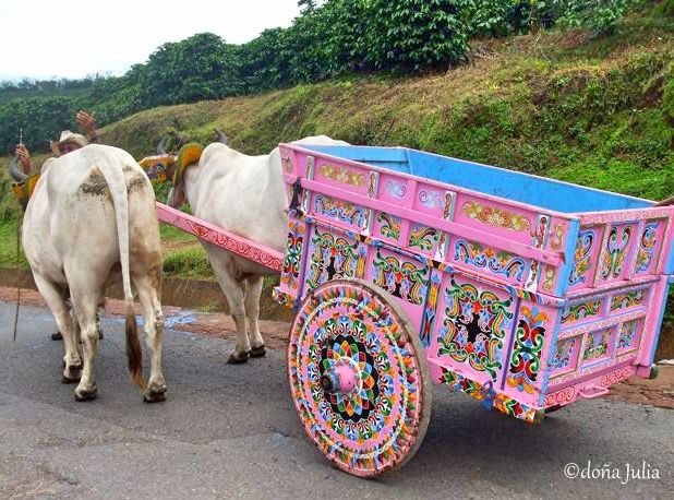 officialmegbzk's tweet photo. Happy Monday, beautiful people! Look at these vibrantly colorful details in these Costa Rican ox carts 🎨😍🌺🌿 Oxcarts are not only used in Costa Rica but in many rural areas around the world. However, the CR kind are famous for their unique + colorful painted designs https://t.co/cGZFNKxgHx