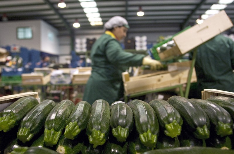 REVISTA F&H tweet media