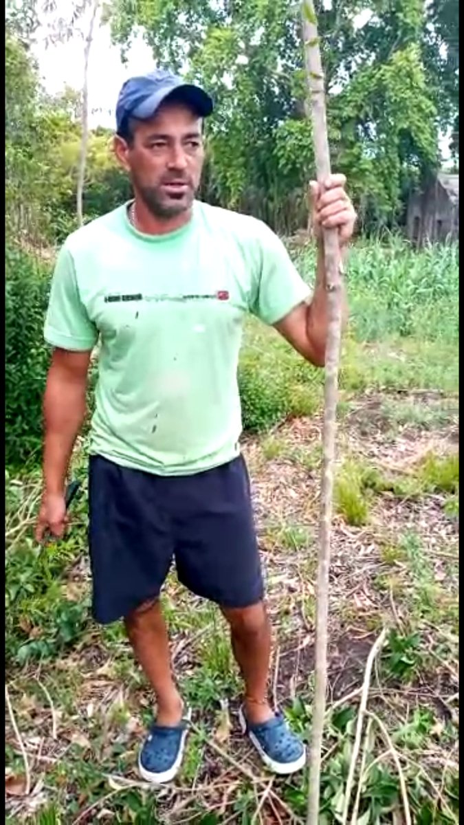 Nos contactamos con Luis Mendieta, vecino de la localidad de Chapicuy, Paysandú, donde viven 2.000 personas para hablar de la falta de empleo y la indiferencia de las autoridades del  <a href="/midesuy/">Ministerio de Desarrollo Social</a> y <a href="/idpaysandu/">Intendencia de Paysandú</a> para dar una respuesta a la situación.
archive.org/details/2021-1…