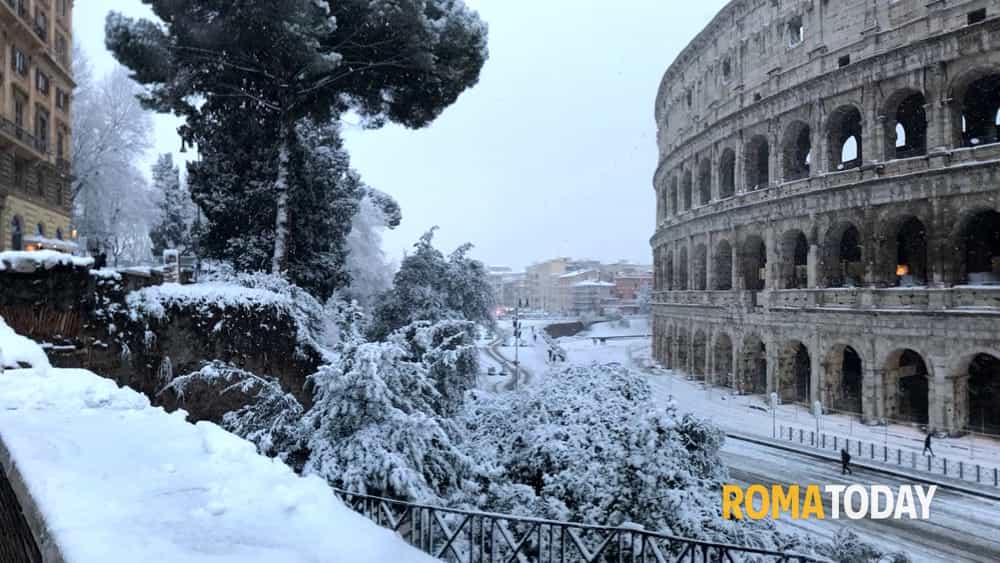 Roma Today tweet media