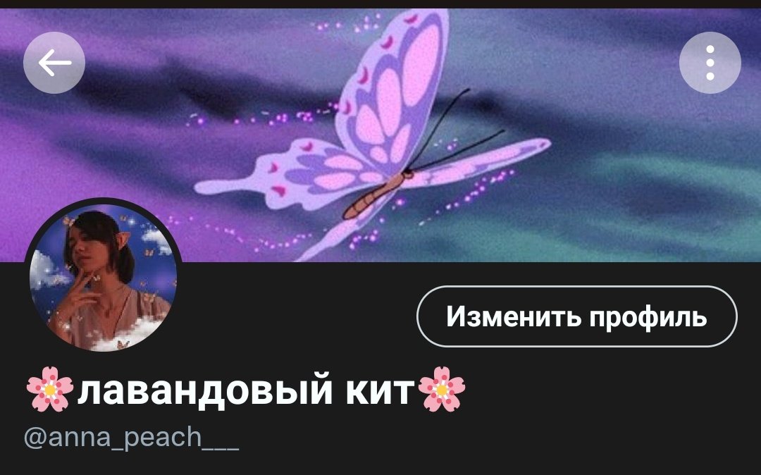 a_firefly___'s tweet photo. У меня новая оформа 🙃🦋 https://t.co/Vzg8lHpSF3
