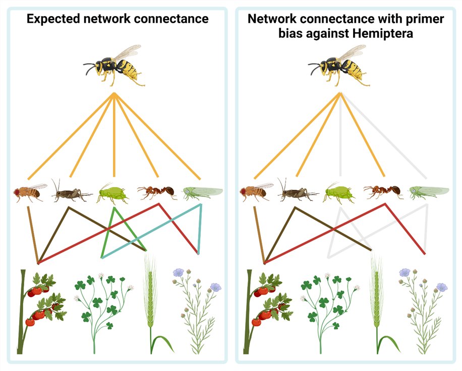 JordanCuff's tweet photo. Really excited for this to hit @MethodsEcolEvol soon! 

We've outlined several key pitfalls inherent to integrating dietary metabarcoding data into ecological networks and how best to get around them! 🕸️🧬🥳 https://t.co/bSB4qZum6T