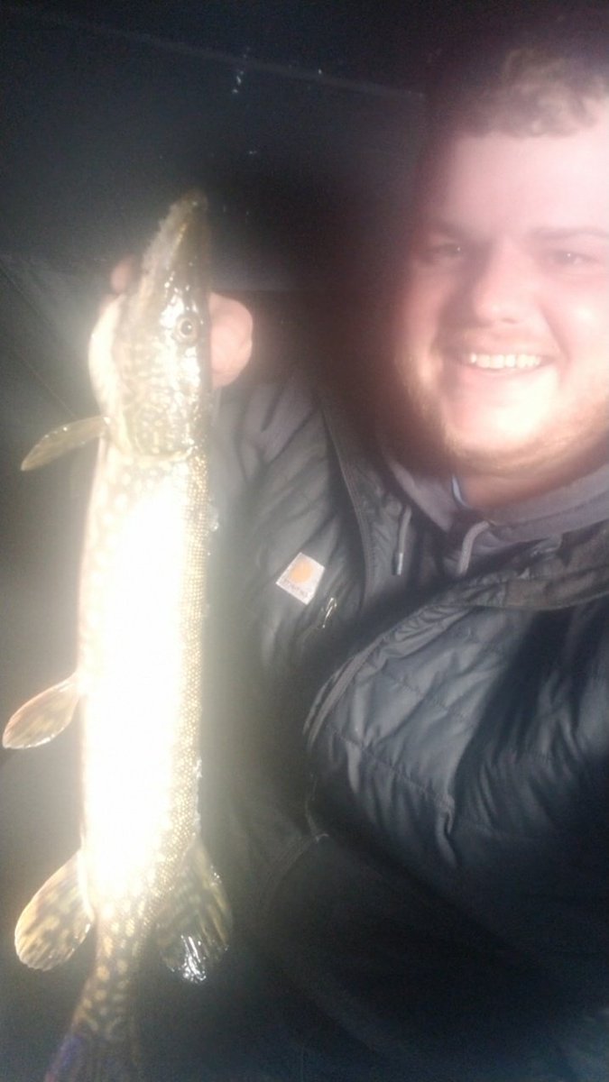 Trevor S. Ryan tweet media