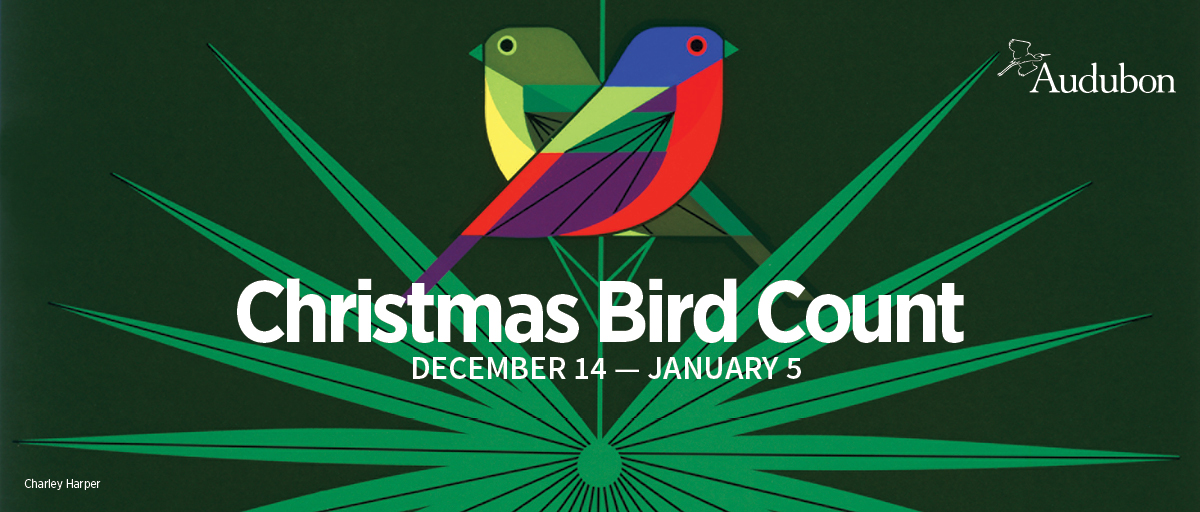Christmas Bird Count 2022 Near Me Audubon Texas On Twitter: "Get Your Clipboards And Pencils Ready -  Audubon's 122Nd Christmas Bird Count Begins Tomorrow, 12/14/21 Through  01/05/2022. Check Out The National Map To Find A Count Near You.