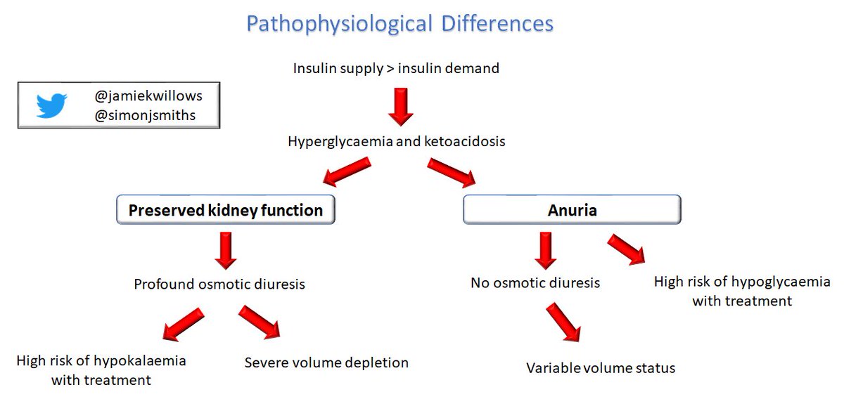 edgarvlermamd's tweet photo. DKA in Patients on Dialysis and Anuria: Pathophysiology, Pearls, and Pitfalls from @RenalFellowNtwk @simonjsmiths @jamiekwillows #Nephpearls #PathophysiologyPearls 

https://t.co/BwaK9nr307 https://t.co/w2WHWrluKV