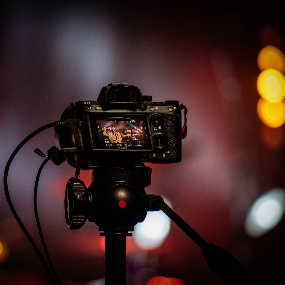 Het Podium tweet media