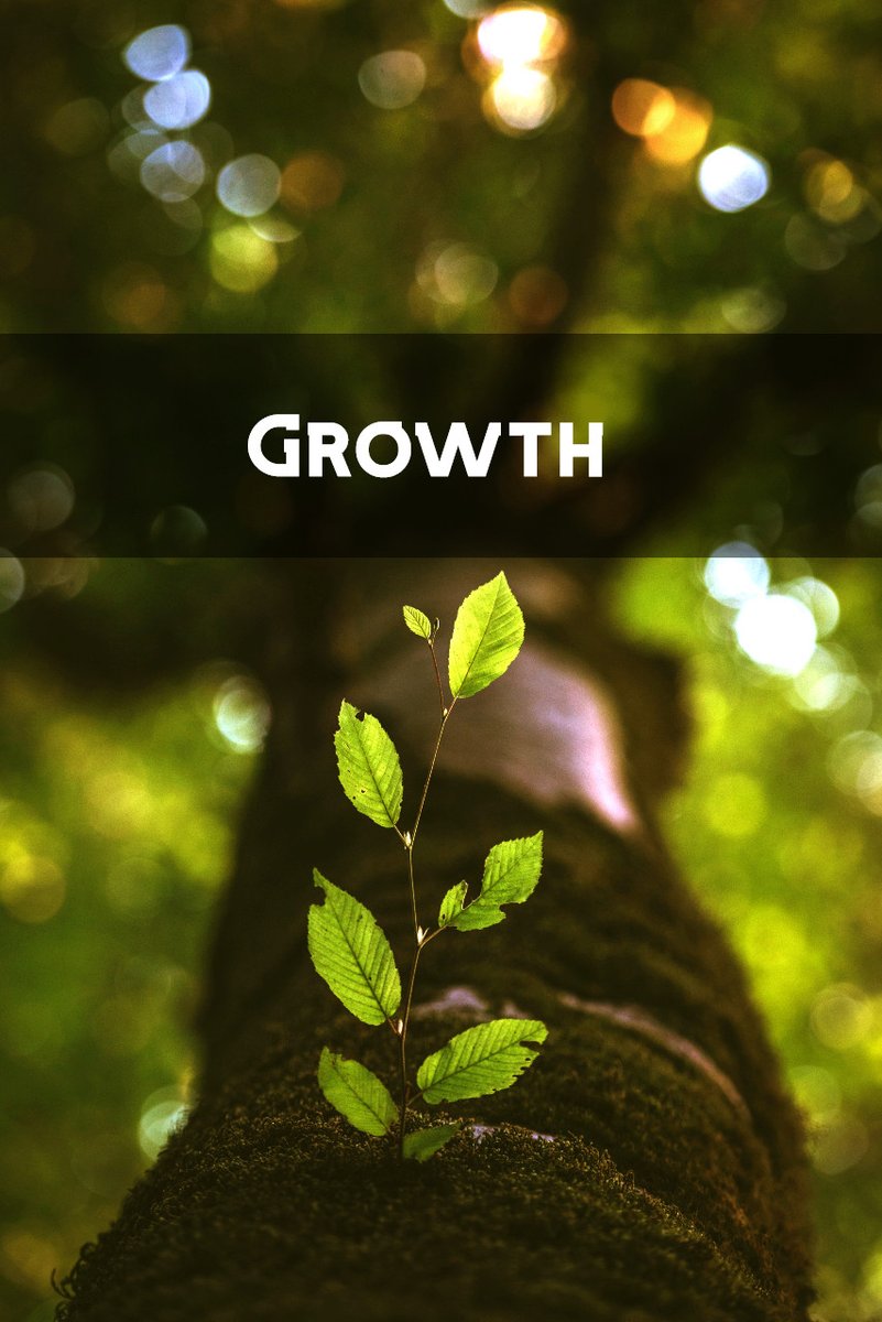 AlronInc's tweet photo. “One can choose to go back toward safety or forward toward growth. Growth must be chosen, again and again, fear must be overcome again and again.” 
-Abraham Maslow

#goodmorning #mondaymotivation #mondaymood https://t.co/Mc2yd0qqXt