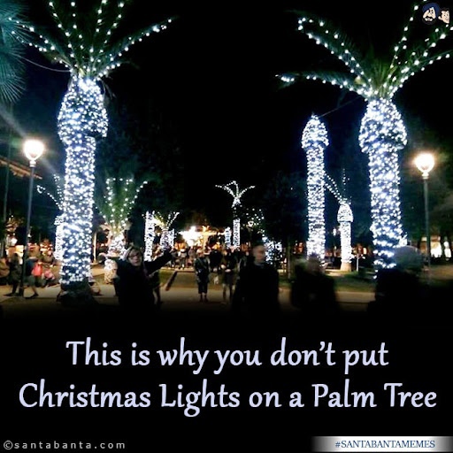 My hunch tells me (and it usually never fails me) that Elon Musk and Jeff Bezos are responsible for the design of these Christmas decorations. 👇