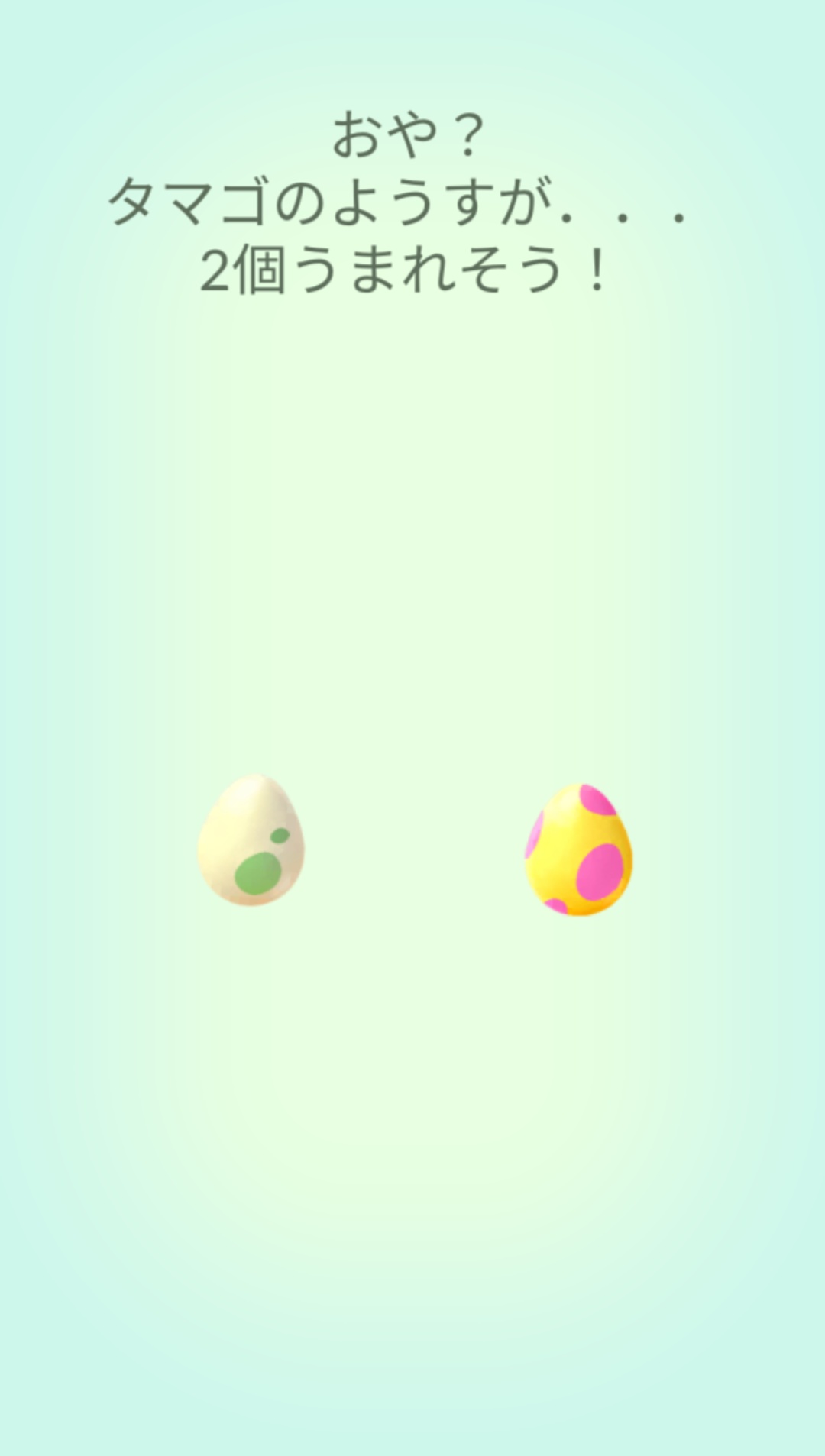 かっちゃん ８ ８gofest横浜 今日ポケモンｇｏでタマゴから孵化したポケモン一覧です タテトプスとミニリュウはウィークリー報酬です タマゴが孵化したあとにタップすると早送りしてしまう さらに２個以上同時に孵化すると１個ずつ孵化するけど 個体