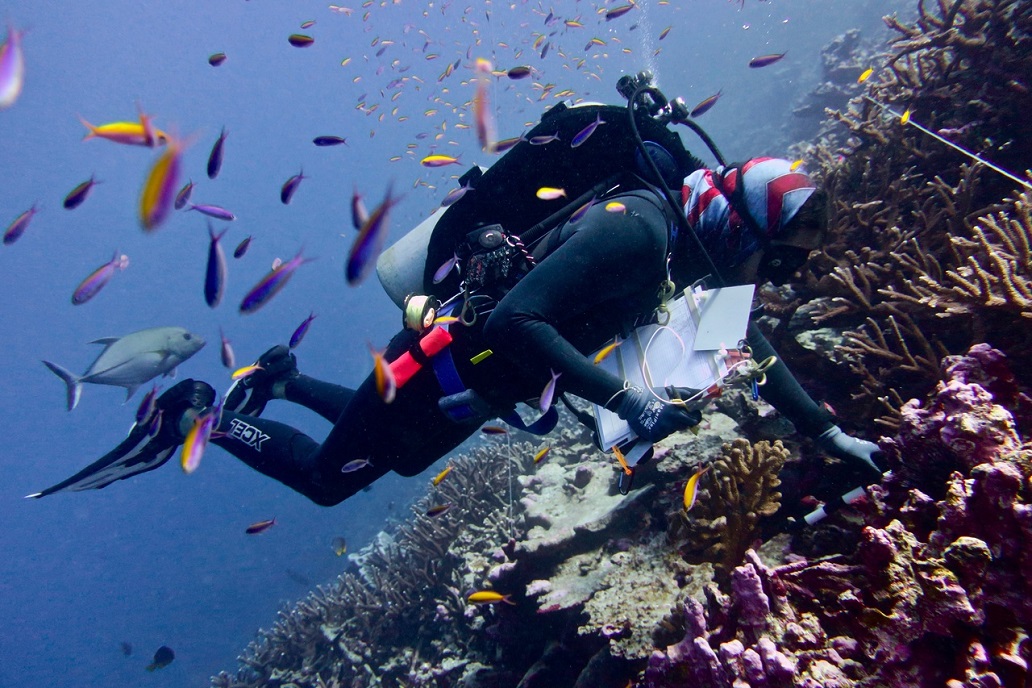 NOAACoral's tweet photo. As the year winds down, the funding opportunities are heating up. Explore the grants and take note of key dates: https://t.co/jBb6ONbpgo #CoralReefs https://t.co/KU3kH0t46K