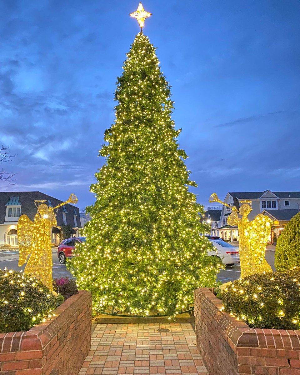 KathleenLevey's tweet image. Holiday magic, Spring Lake #christmas #nj #holidays 🎄✨