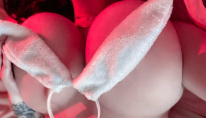 Tallyberry’s pics and videos