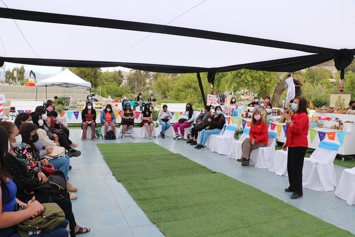 DPPHuasco's tweet photo. En Pase Ribereño #Vallenar @galeb_bou @DPPHuasco  Encabeza  Feria Provincial de Emprendedores del @FOSIS_ATACAMA , junto a @TereCanasPrecht Dir. Reg. @FOSIS_ATACAMA  reconocimiento al gran esfuerzo desplegado en medio de la Pandemia. https://t.co/GjBZK3VzEf https://t.co/lQURgQcFxw
