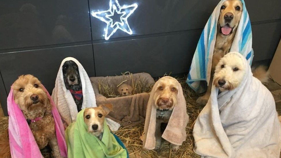 Missguided's tweet photo. We're not crying you are 🥺

@to_wags 📷 https://t.co/tK9lia1DTH