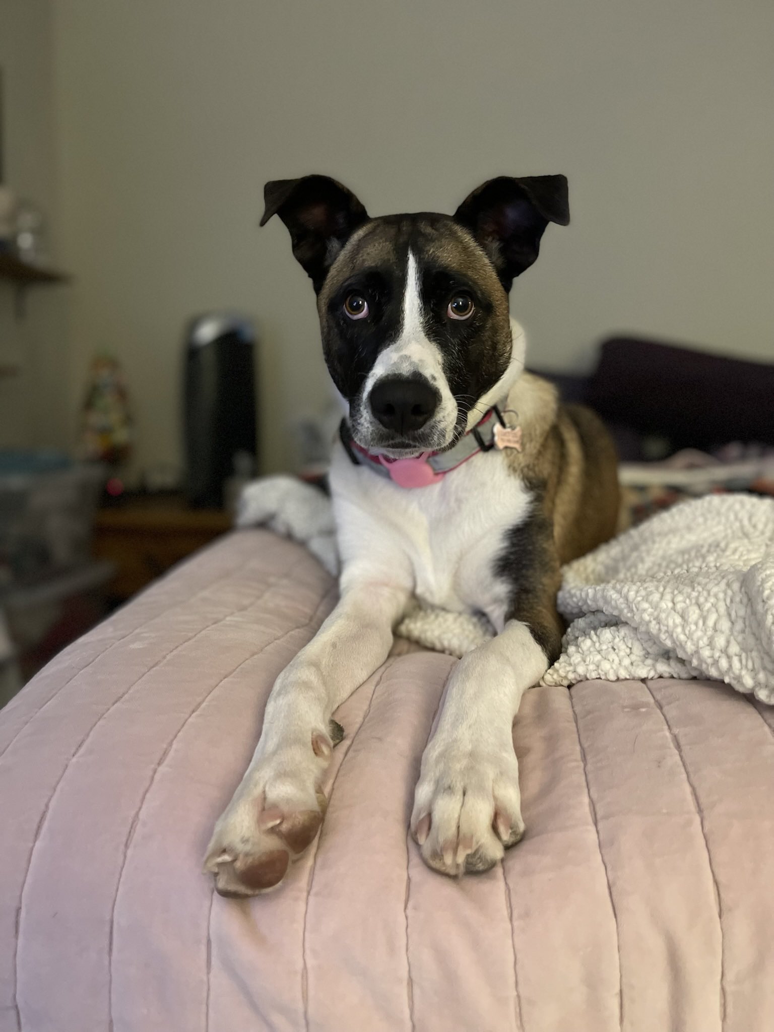  Happy Birthday Mabel from Lucy Liu! 